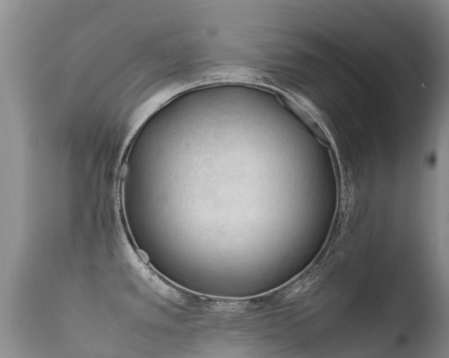 X0000112211389200908141447