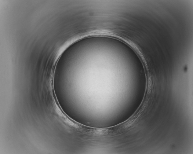 X0000112211390200908141447