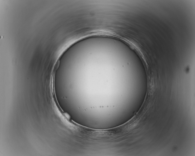 X0000112211391200908141447