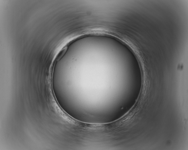 X0000112211392200908141447