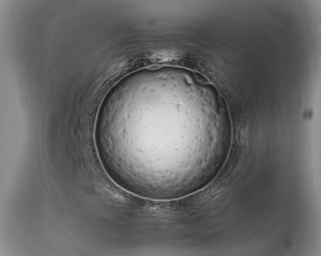 X0000112211393200908141447