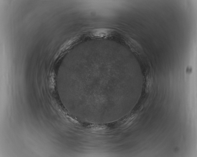 X0000112211394200908141447