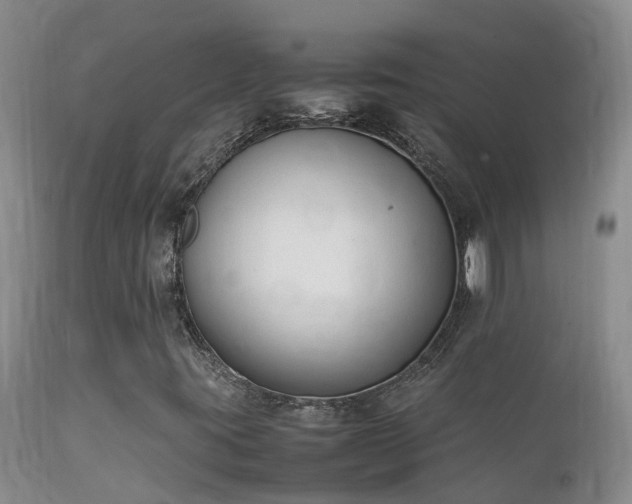 X0000112211395200908141447