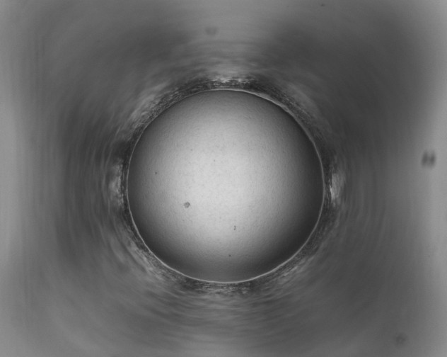 X0000112211396200908141447