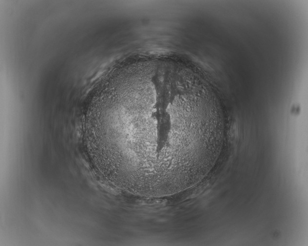 X0000112211397200908141447