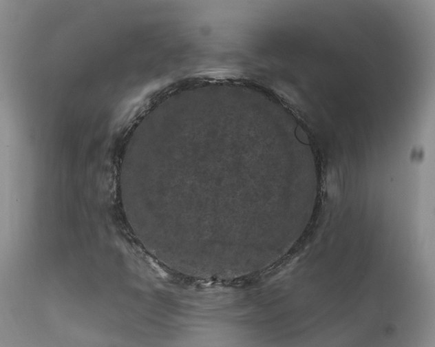 X0000112211398200908141447