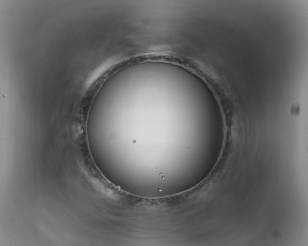 X0000112211400200908141447