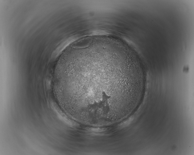 X0000112211401200908141447