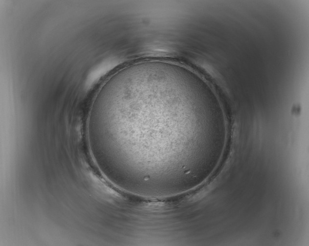 X0000112211402200908141447