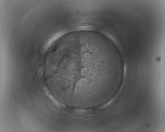 X0000112211405200908141447