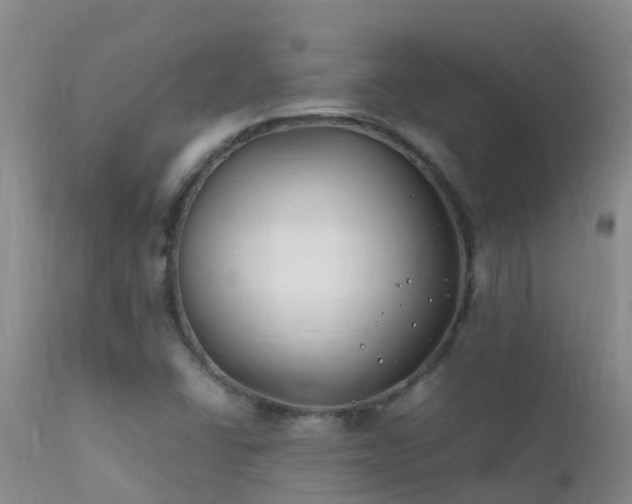 X0000112211406200908141447