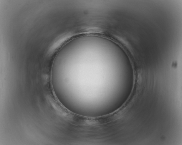 X0000112211407200908141447