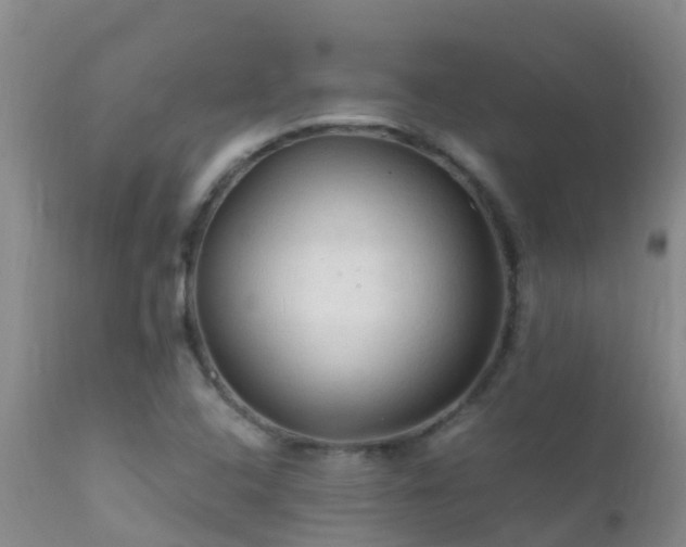 X0000112211408200908141447