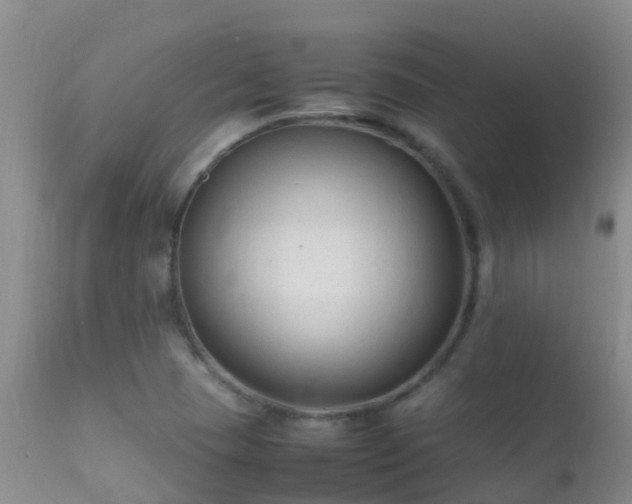 X0000112211409200908141447