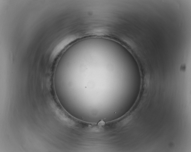 X0000112211410200908141447