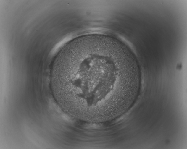 X0000112211411200908141447