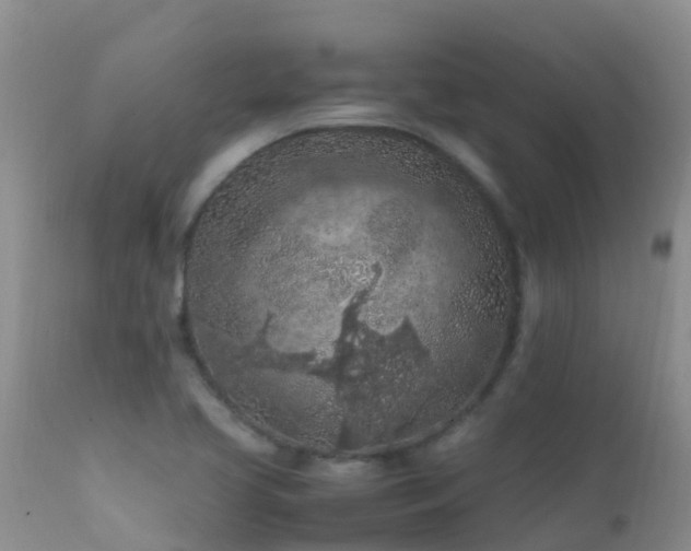 X0000112211413200908141447