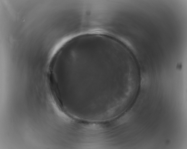 X0000112211414200908141447