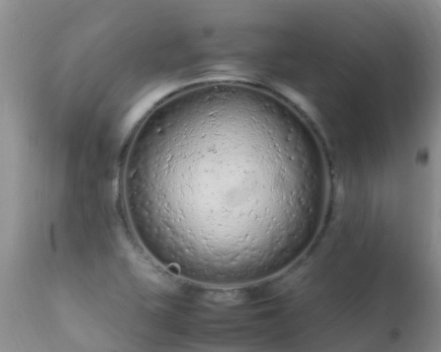 X0000112211415200908141447