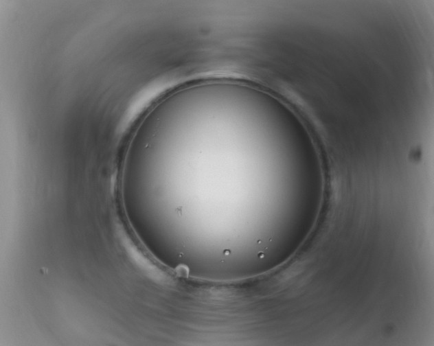 X0000112211416200908141447