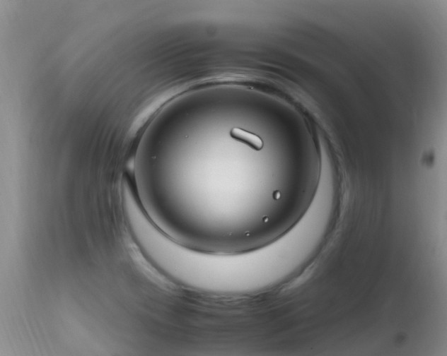 X0000112211417200908141447