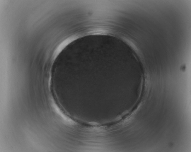 X0000112211418200908141447