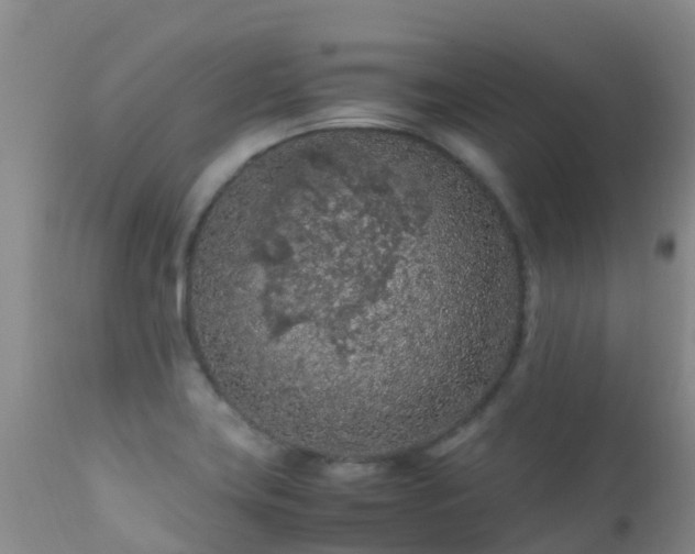 X0000112211419200908141447