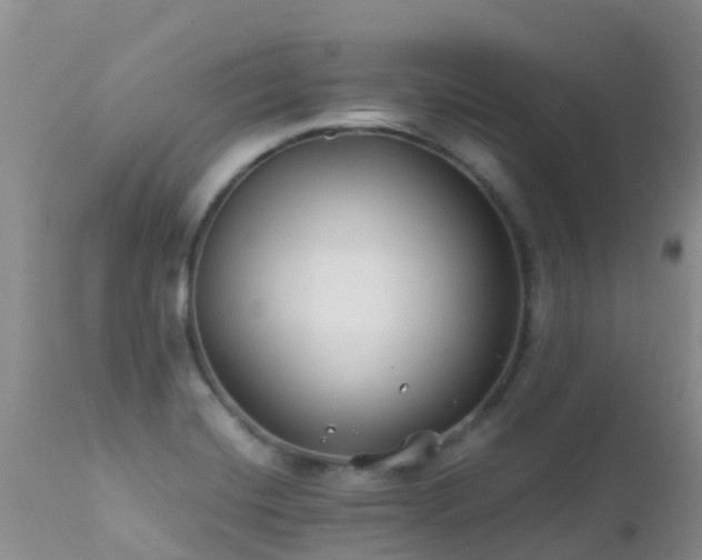 X0000112211420200908141447