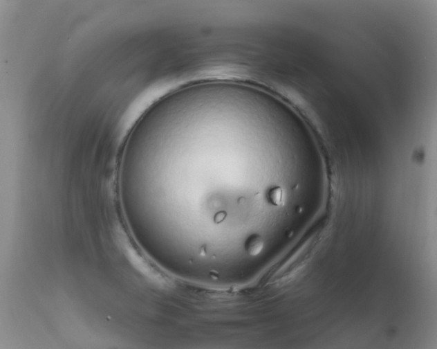 X0000112211421200908141447