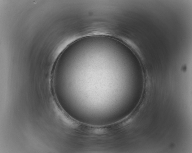 X0000112211423200908141447