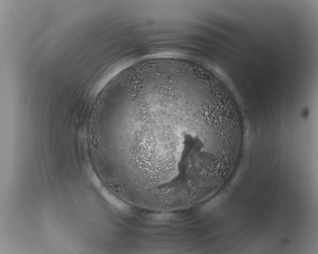 X0000112211425200908141447