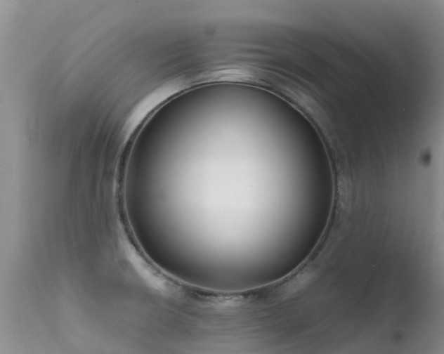 X0000112211426200908141447