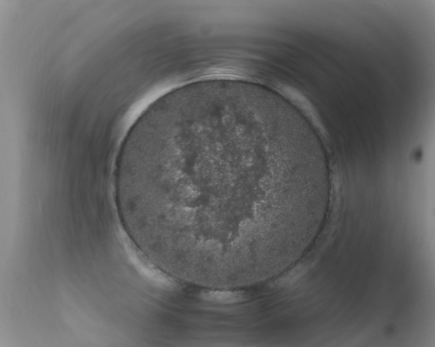 X0000112211427200908141447