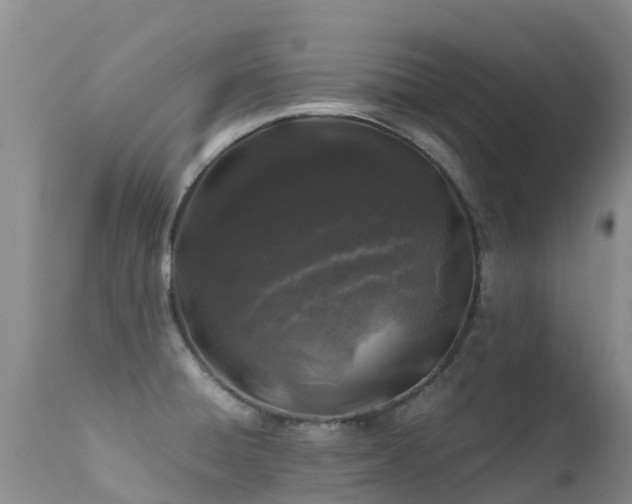 X0000112211428200908141447