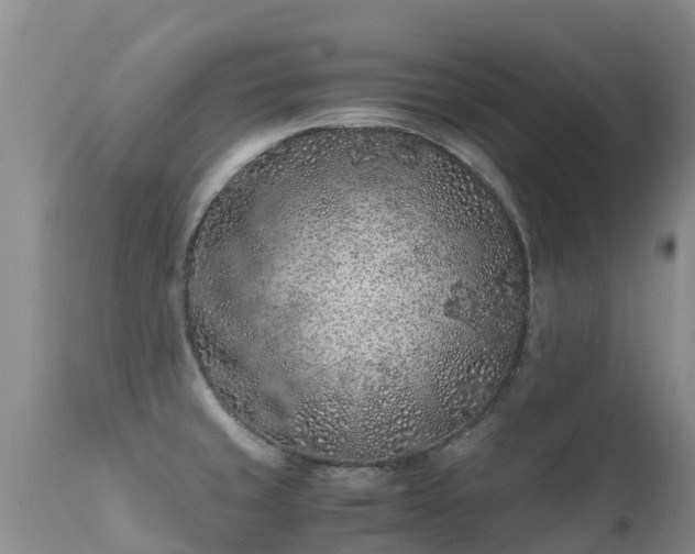 X0000112211429200908141447