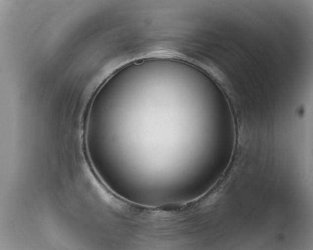 X0000112211430200908141447