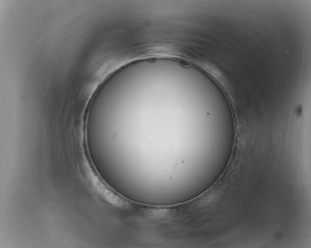 X0000112211431200908141447