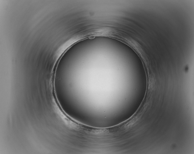 X0000112211434200908141447