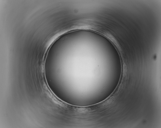 X0000112211436200908141447