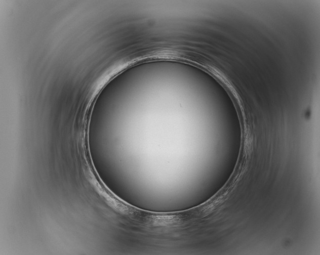 X0000112211437200908141447