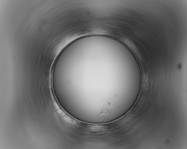 X0000112211439200908141447