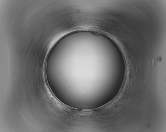 X0000112211440200908141447