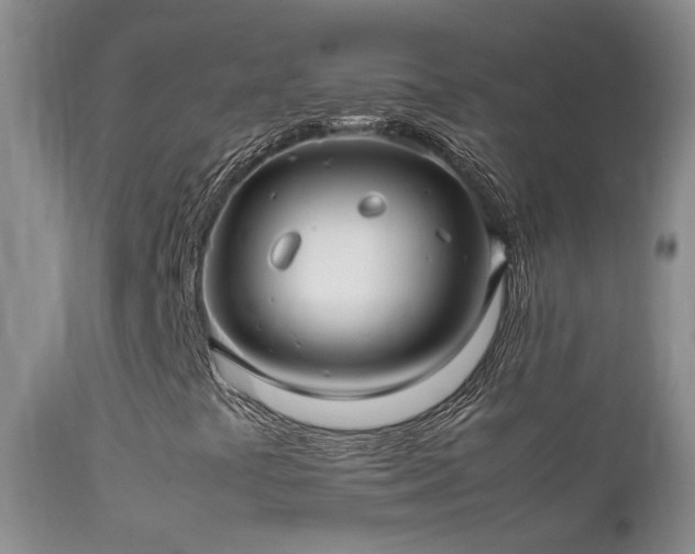 X0000112211441200908141447