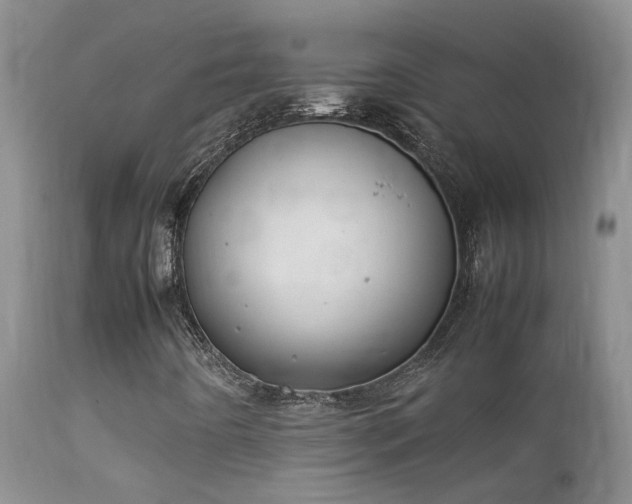 X0000112211442200908141447