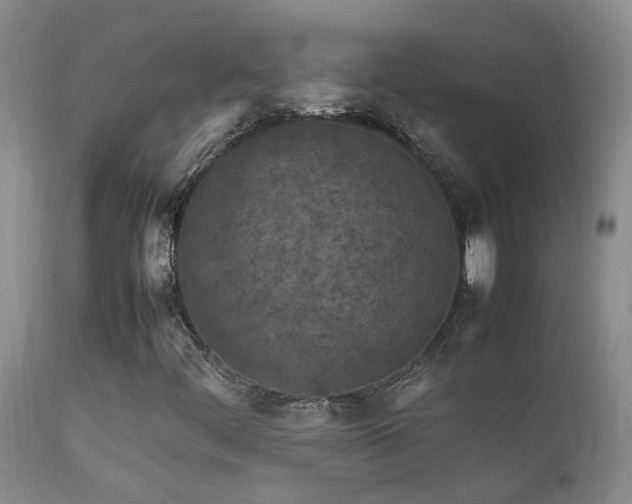 X0000112211444200908141446