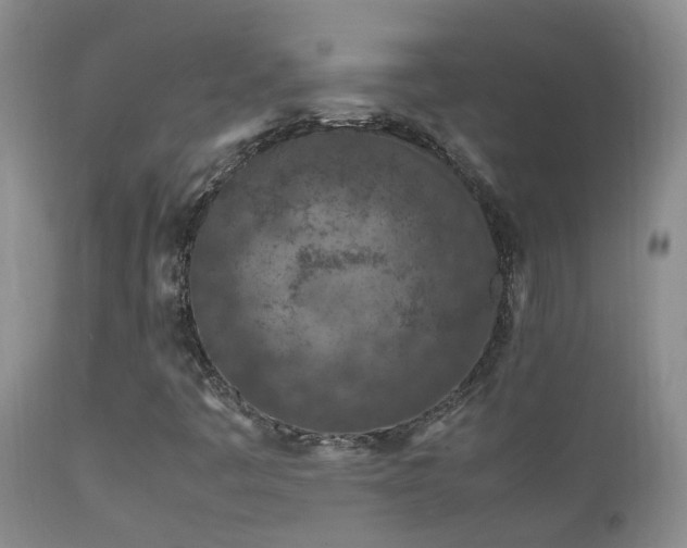 X0000112211445200908141446