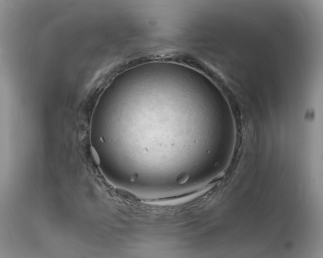 X0000112211447200908141446