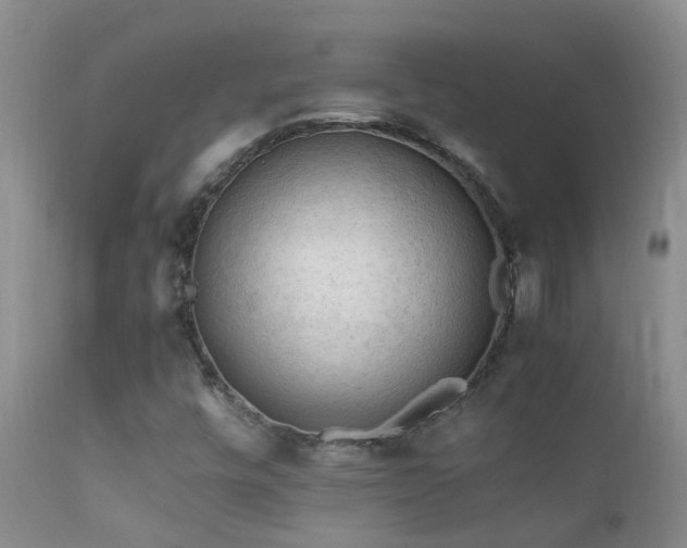 X0000112211448200908141446