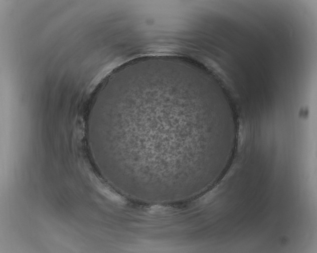 X0000112211449200908141446