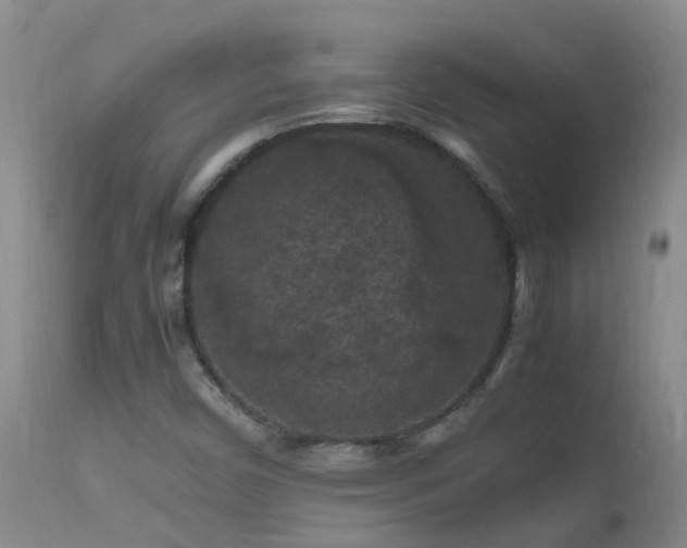 X0000112211450200908141446